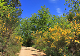 La Vajol, Alt Empordà